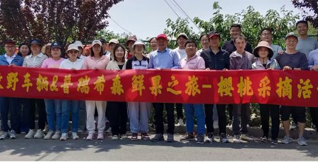 2024年团建——樱桃采摘活动